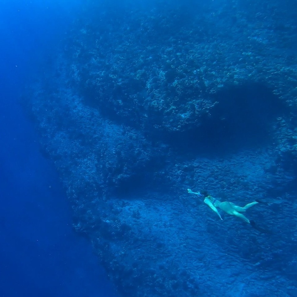 Meet your Posher, Cassie